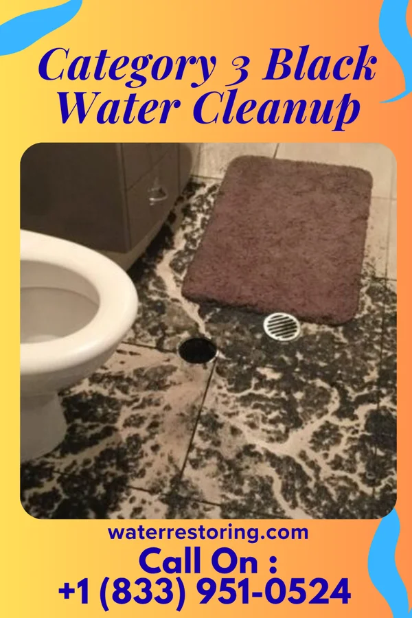 Category 3 Black Water Cleanup in Trenton, NC