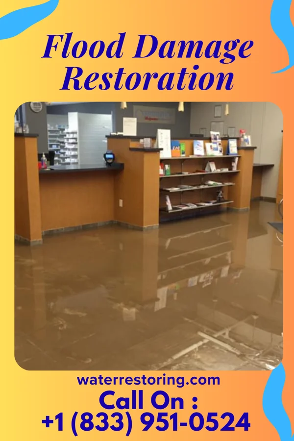 Flood Damage Restoration in Trenton, NC