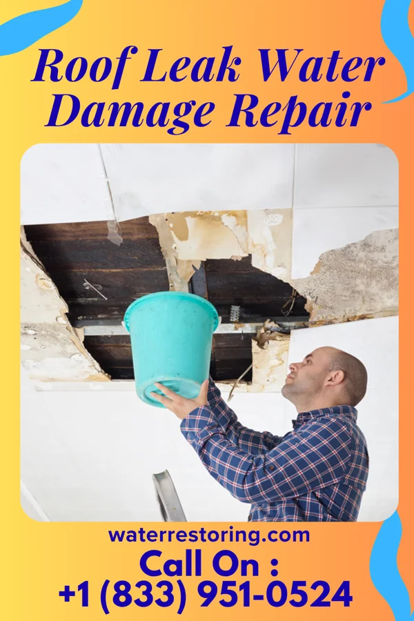 Roof Leak Water Damage Repair in Trenton, NC